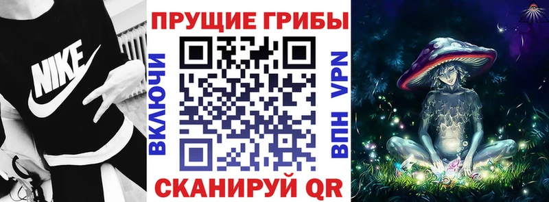 Галлюциногенные грибы Psilocybine cubensis  Купить где  Велиж 
